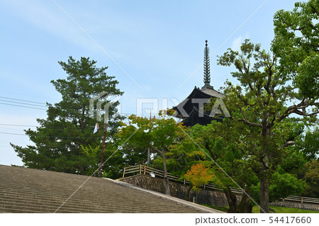 世界遺產·奈良公園 世界遺產·奈良公園 54417660