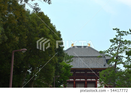 Nara · Todaiji Temple Nara · Todaiji Temple 54417772