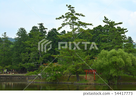 奈良·東大寺 54417773