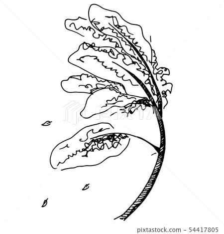 A vector pen and ink drawing of an autumn tree 54417805