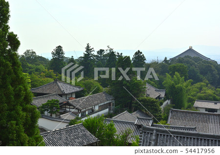 奈良·Todaiji Nigetsudo 54417956