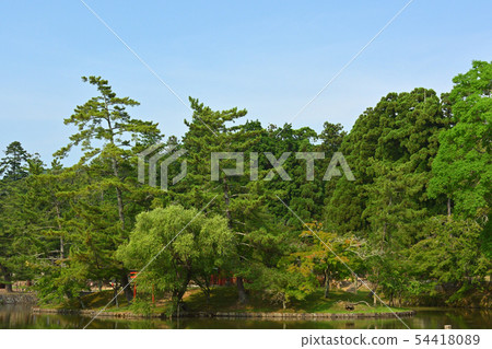 Nara · Todaiji Temple Nara · Todaiji Temple 54418089