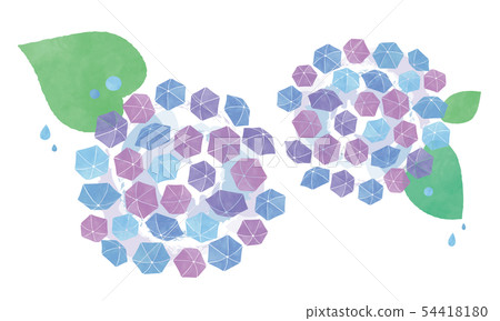 Umbrella hydrangea flower 54418180