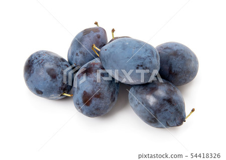 prune prune 54418326