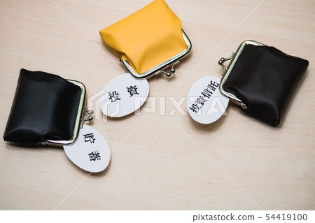 資產形成節省共同基金投資 54419100