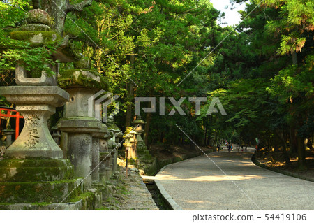 奈良·春日大社 54419106