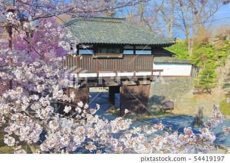 [長野縣] Komorojo城堡Minomon和櫻花盛開 54419197