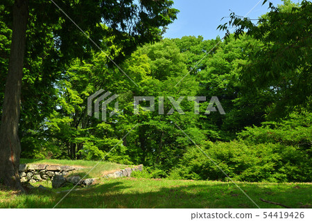 日本100大城堡·Takajyo 日本100大城堡·Takajyo 54419426