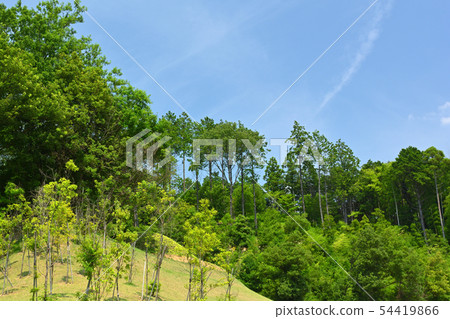 明日香·基托拉墳塚 54419866