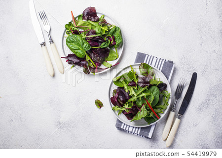 Mix of green salad leaves Mix of green salad leaves 54419979