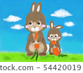 Parent and child of rabbit 54420019