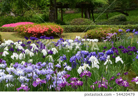 故宮東花園 54420479