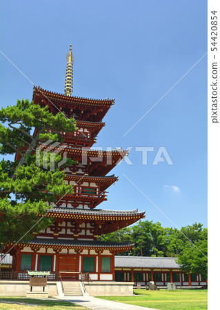奈良·Yakushiji 54420854