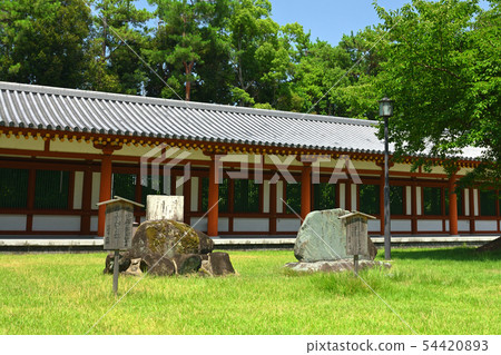 奈良·Yakushiji 54420893