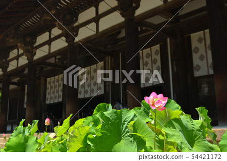 奈良·Toshodaiji寺 54421172