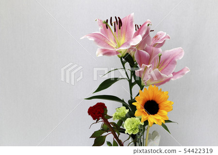 百合花和微型向日葵和紅色雞冠花花夏天花 54422319