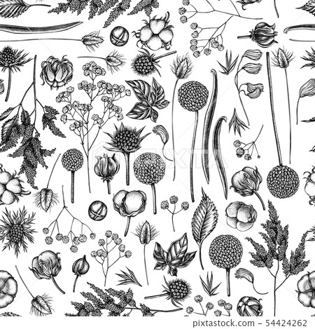 Seamless pattern with black and white astilbe, craspedia, blue eryngo, lagurus, cotton, gypsophila Seamless pattern with black and white astilbe, craspedia, blue eryngo, lagurus, cotton, gypsophila 54424262