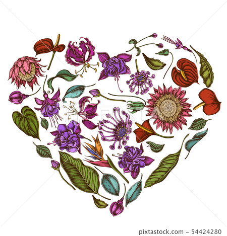 Heart floral design with colored african daisies, fuchsia, gloriosa, king protea, anthurium Heart floral design with colored african daisies, fuchsia, gloriosa, king protea, anthurium 54424280