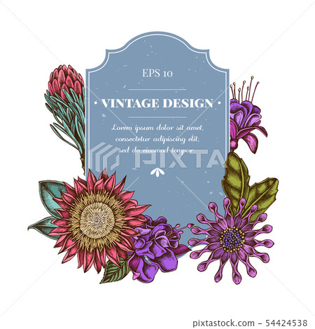 Badge design with colored african daisies, fuchsia, king protea Badge design with colored african daisies, fuchsia, king protea 54424538