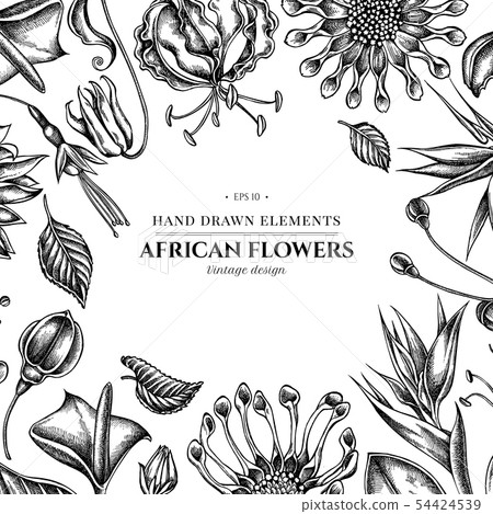 Floral design with black and white african daisies, fuchsia, gloriosa, king protea, anthurium Floral design with black and white african daisies, fuchsia, gloriosa, king protea, anthurium 54424539