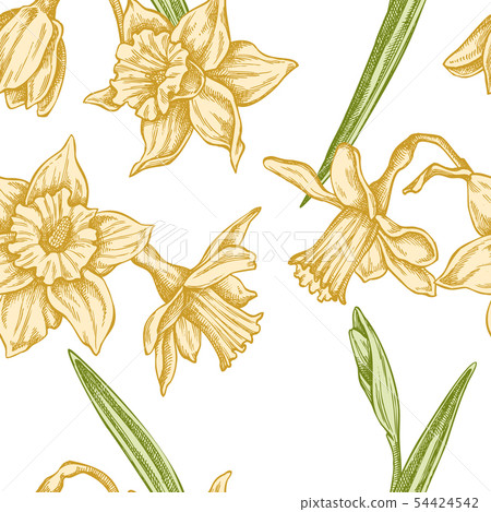 Seamless pattern with hand drawn pastel daffodil Seamless pattern with hand drawn pastel daffodil 54424542