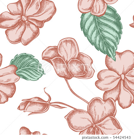 Seamless pattern with hand drawn pastel impatiens 54424543