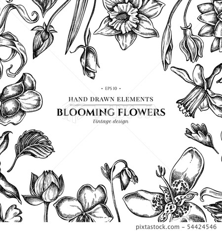 Floral design with black and white ylang-ylang, impatiens, daffodil, tigridia, lotus, aquilegia Floral design with black and white ylang-ylang, impatiens, daffodil, tigridia, lotus, aquilegia 54424546