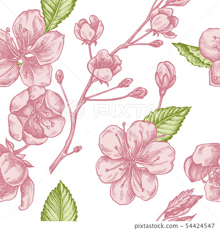 Seamless pattern with hand drawn pastel sakura Seamless pattern with hand drawn pastel sakura 54424547