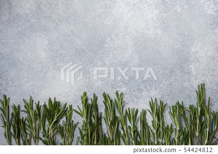 Branches of fresh rosemary on a gray concrete back Branches of fresh rosemary on a gray concrete back 54424812