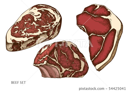 Vector set of hand drawn colored beef 54425041
