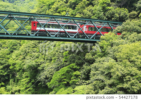 新鮮的綠色箱根登山鐵路 54427178