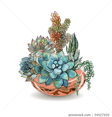 Succulents in glass aquariums. Colored sand. Succulents in glass aquariums. Colored sand. 54427420