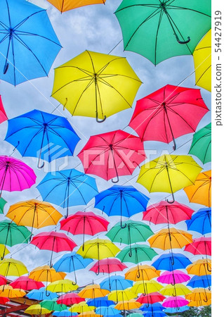 Kanuma City Hanaki Center Umbrella Flower Kanuma City Hanaki Center Umbrella Flower 54427919