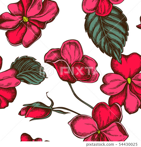 Seamless pattern with hand drawn colored impatiens Seamless pattern with hand drawn colored impatiens 54430025