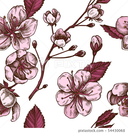 Seamless pattern with hand drawn colored sakura 54430068