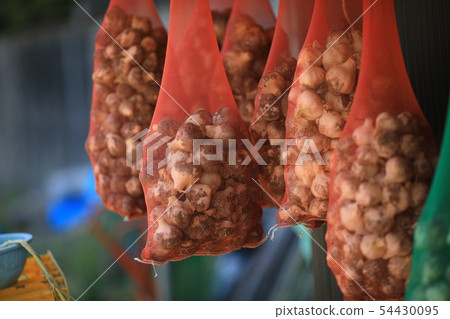 onion onion 54430095