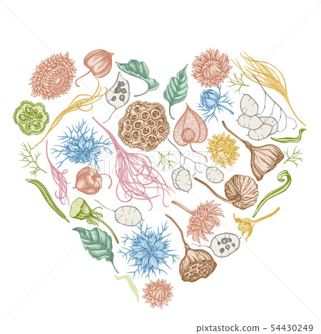 Heart floral design with pastel black caraway, feather grass, helichrysum, lotus, lunaria, physalis Heart floral design with pastel black caraway, feather grass, helichrysum, lotus, lunaria, physalis 54430249