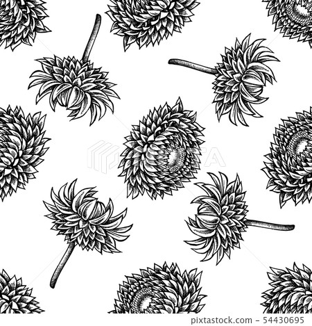Seamless pattern with black and white helichrysum 54430695