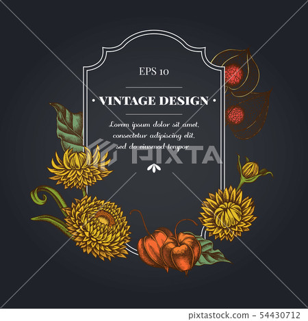 Dark badge design with black caraway, helichrysum, physalis Dark badge design with black caraway, helichrysum, physalis 54430712