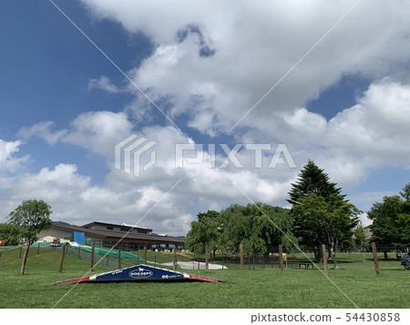 Dog run Dog run 54430858