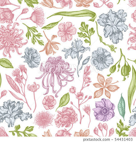 Seamless pattern with hand drawn pastel japanese chrysanthemum, blackberry lily, eucalyptus flower 54431403