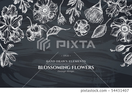Floral design with chalk japanese chrysanthemum, blackberry lily, eucalyptus flower, anemone, iris Floral design with chalk japanese chrysanthemum, blackberry lily, eucalyptus flower, anemone, iris 54431407
