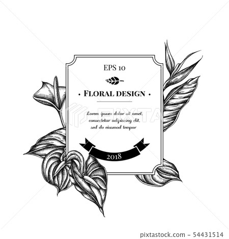 Badge design with black and white gloriosa, anthurium, strelitzia Badge design with black and white gloriosa, anthurium, strelitzia 54431514