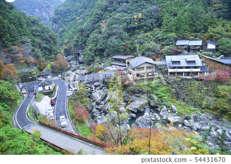Nakatsu Valley of colored leaves 54431670