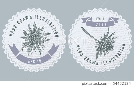 Monochrome labes with blue eryngo 54432124