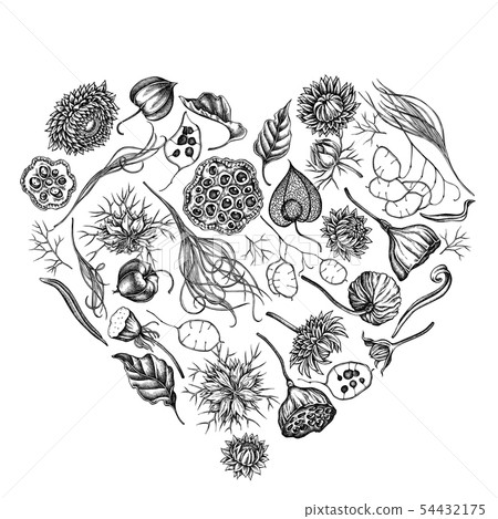 Heart floral design with black and white black caraway, feather grass, helichrysum, lotus, lunaria Heart floral design with black and white black caraway, feather grass, helichrysum, lotus, lunaria 54432175
