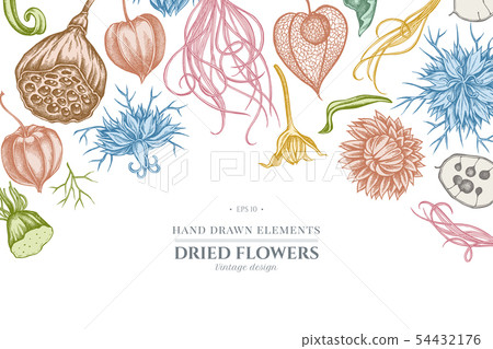Floral design with pastel black caraway, feather grass, helichrysum, lotus, lunaria, physalis Floral design with pastel black caraway, feather grass, helichrysum, lotus, lunaria, physalis 54432176
