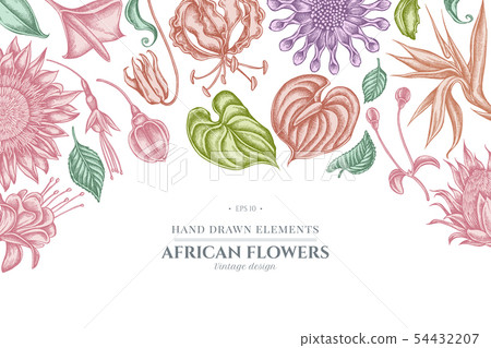 Floral design with pastel african daisies, fuchsia, gloriosa, king protea, anthurium, strelitzia Floral design with pastel african daisies, fuchsia, gloriosa, king protea, anthurium, strelitzia 54432207