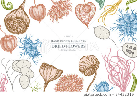 Floral design with pastel black caraway, feather grass, helichrysum, lotus, lunaria, physalis Floral design with pastel black caraway, feather grass, helichrysum, lotus, lunaria, physalis 54432319