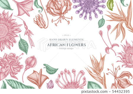 Floral design with pastel african daisies, fuchsia, gloriosa, king protea, anthurium, strelitzia Floral design with pastel african daisies, fuchsia, gloriosa, king protea, anthurium, strelitzia 54432395